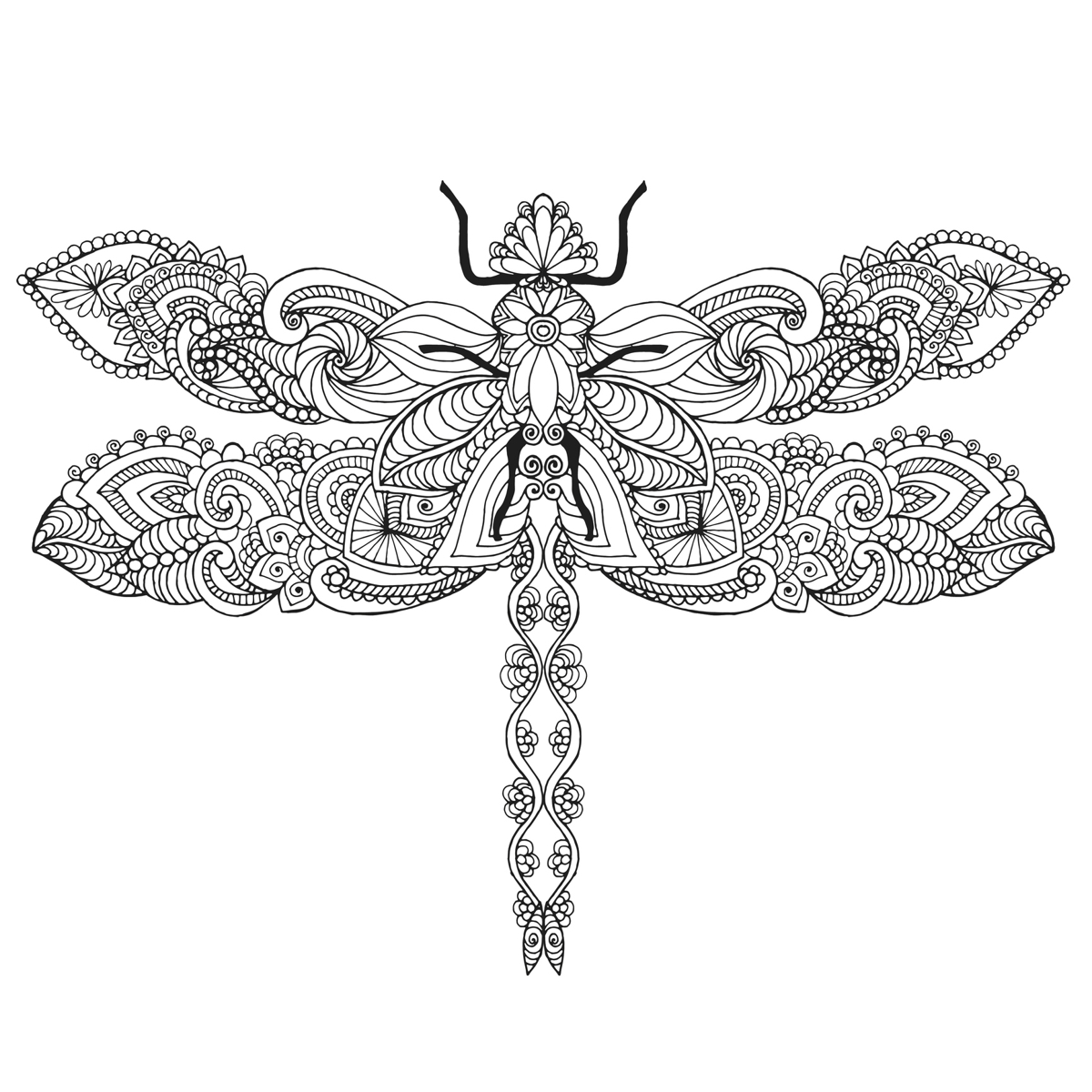 Dragonfly Line Drawing at GetDrawings | Free download