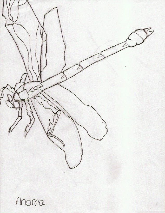 635x817 Natural Bridges Sketchers Weeks 2 6 Proportions, Contour Lines