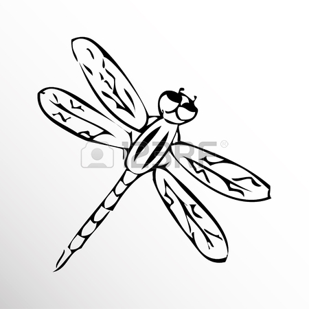 450x450 Dragonfly Sketch Stock Photos. Royalty Free Business Images