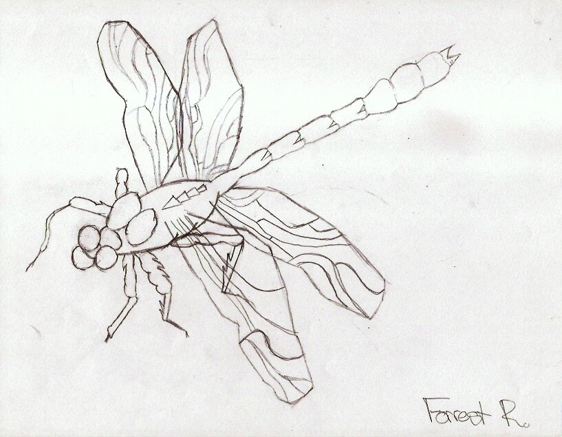 Dragonfly Pencil Drawing at GetDrawings | Free download