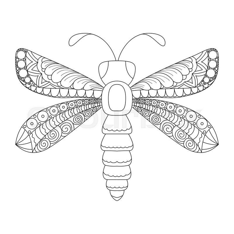 800x800 Cute Cartoon Dragonfly With Ornament. Background, Cover. Design