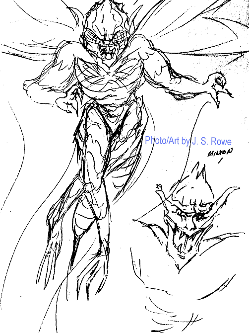 502x670 Sketch Aedre's Firefly