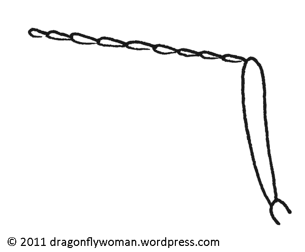 600x496 Drawings And Diagrams The Dragonfly Woman