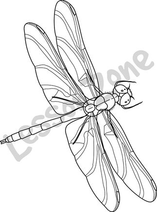 323x436 Lesson Zone Au