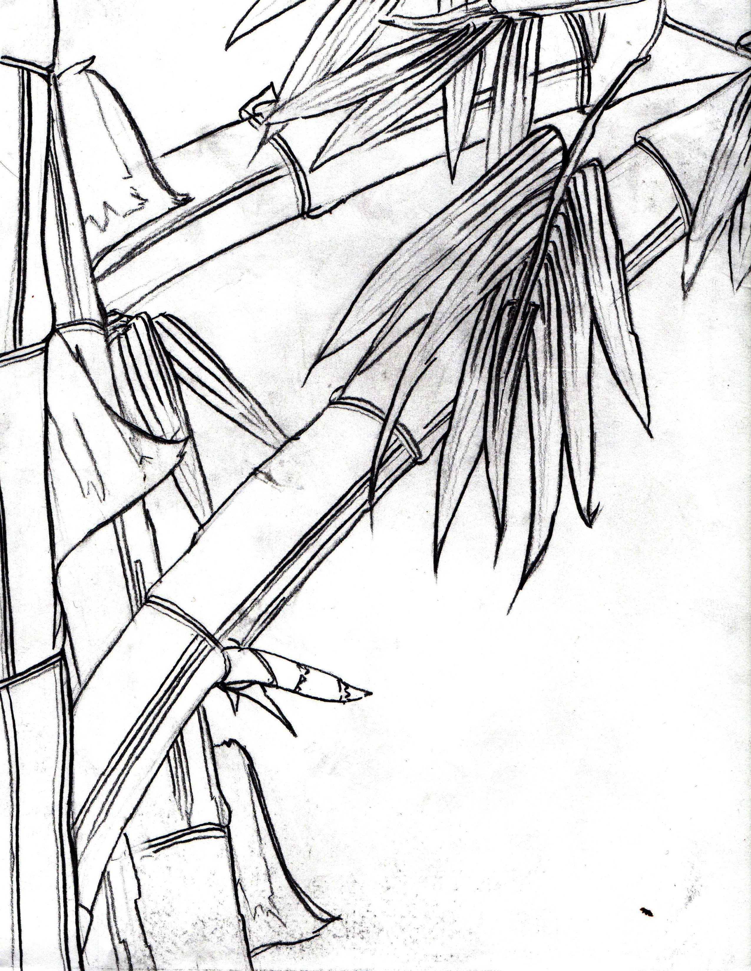 2550x3300 Sketches Jesse Talks