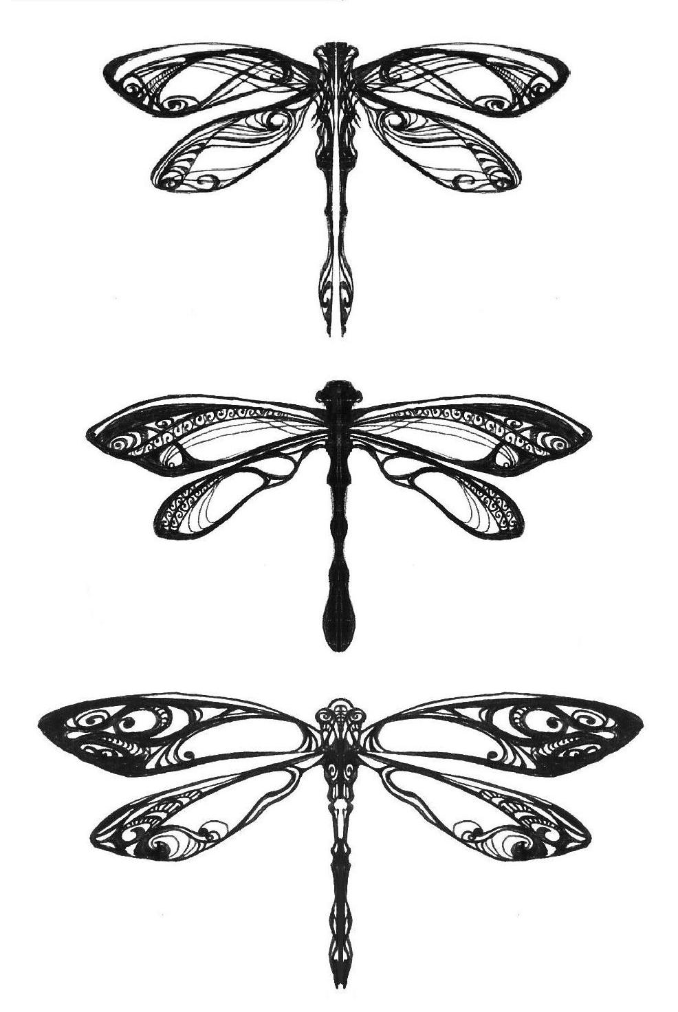 986x1472 Dragonflies By Pangea Derlatek