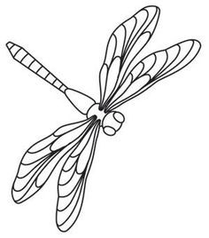 236x268 Dragonfly Drawings Group
