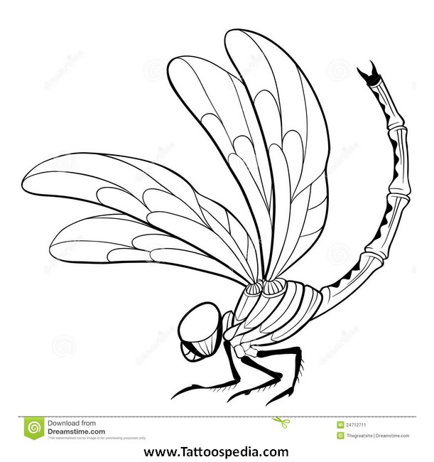 611x650 5 New Dragonfly Tattoo Design Ideas