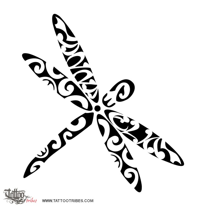 800x800 Tattoo Of Kapowai, Dragonfly Tattoo