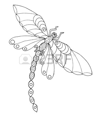360x450 Dragonfly Sketch Stock Photos. Royalty Free Business Images