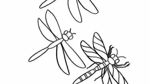 570x320 How To Draw A Dragonfly