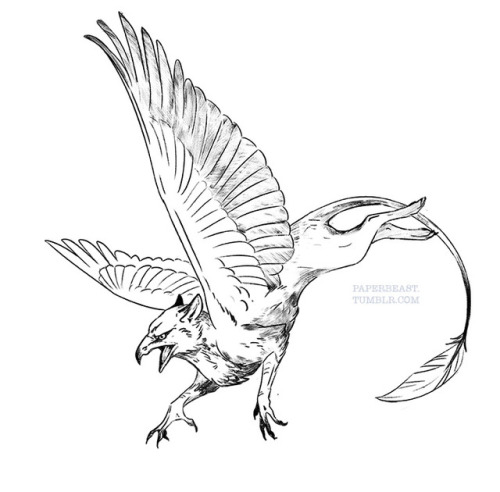 500x492 Dragon Fly Tattoo Tumblr