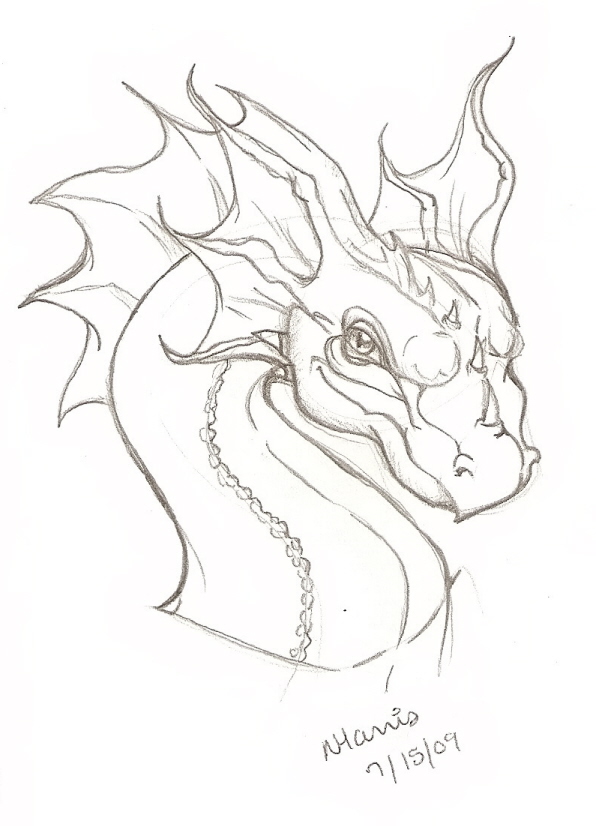 596x826 Drawn Water Dragon Pencil Draw