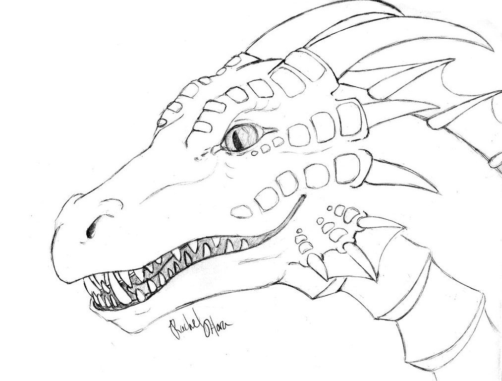 1013x768 Realistic Dragon Coloring Pages Download Images Drawing For Adults