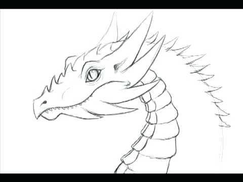 480x360 Here Are Cute Dragon Coloring Pages Images