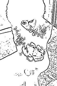 236x354 Pin By Didier Kabagema On Sketches, Drawing, Dramatic Pencil