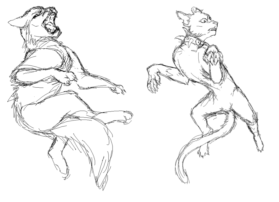 900x652 Dramatic Cats By Distressedlittlemoon