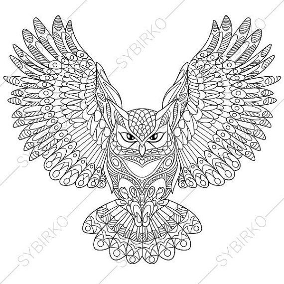 570x570 Owl Adult Coloring Book Page. Zentangle Doodle Coloring Pages