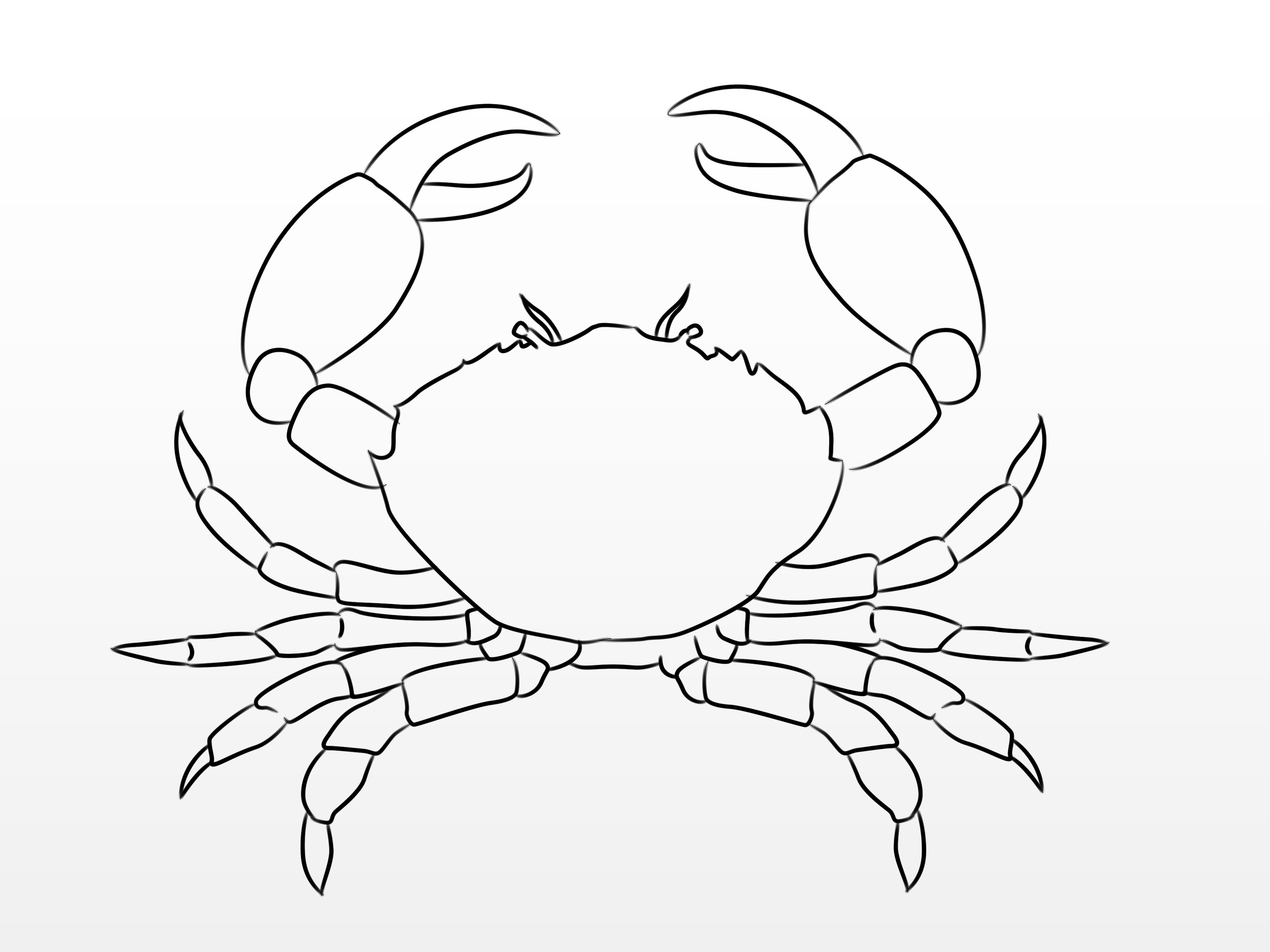 3200x2400 How To Draw A Crab 10 Steps (With Pictures)