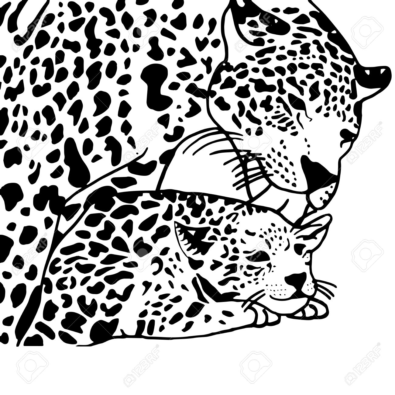 1300x1299 High Quality Drawing For Coloring Mother And Child Leopard Royalty