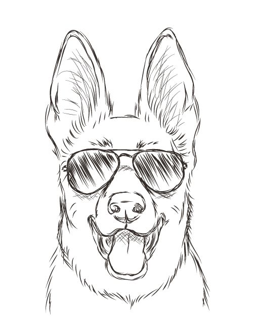 500x629 116 Best Dog Drawings Images On Drawing Ideas, How