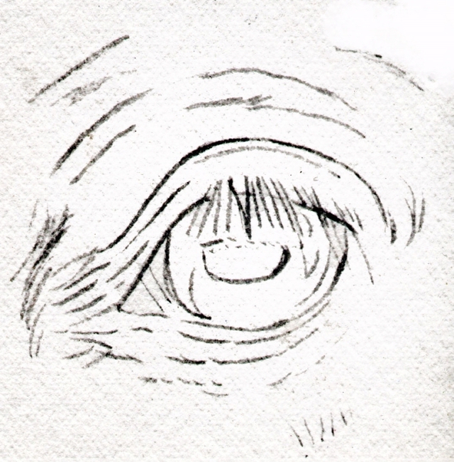 640x652 How Can You Draw Horse Eyes With Colored Pencils Horse, Eye