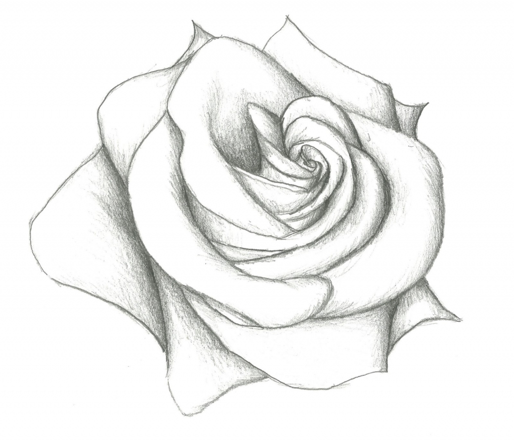 1024x877 Flowers Drawings In Pencil For Kids Simple Rose Drawings In Pencil