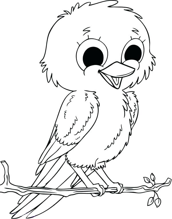 600x765 Coloring Pages For Kids Birds Bird Outline Drawing Library Free