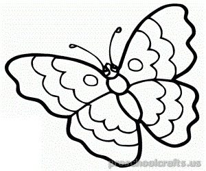 300x250 Butterfly Coloring Pages For Kids