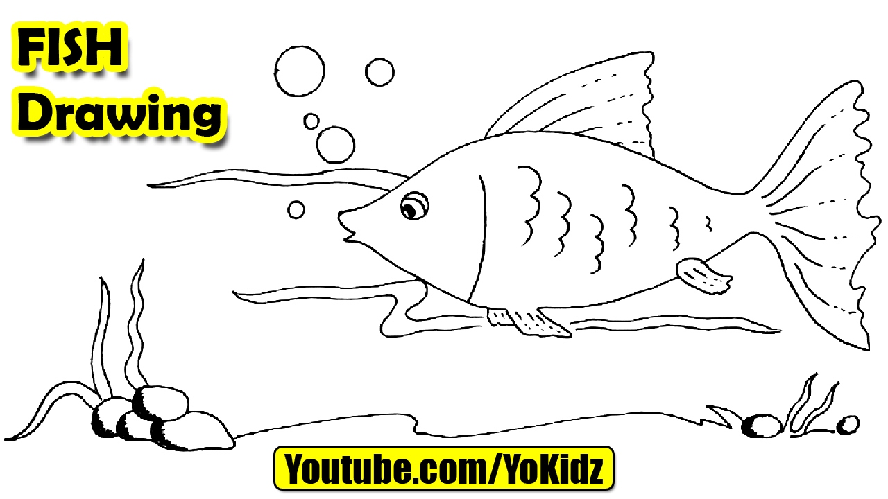 1280x720 How To Draw A Fish For Kids