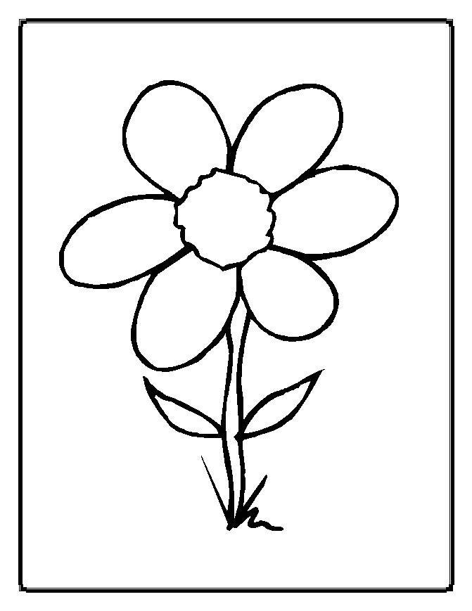 671x869 Flower Coloring Pages
