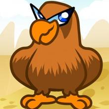 220x220 How To Draw How To Draw A Hawk For Kids