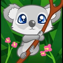 220x220 How To Draw How To Draw A Koala For Kids