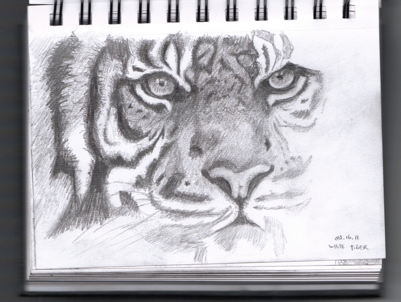 1600x1205 Sanity With Five Kids Draw Every (Other) Day