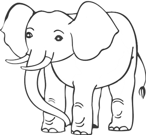 300x278 How To Draw An Elephant For Kids