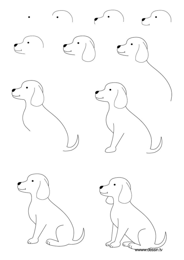 600x847 The Kids Will Love This How To Draw A Dog Step By Step