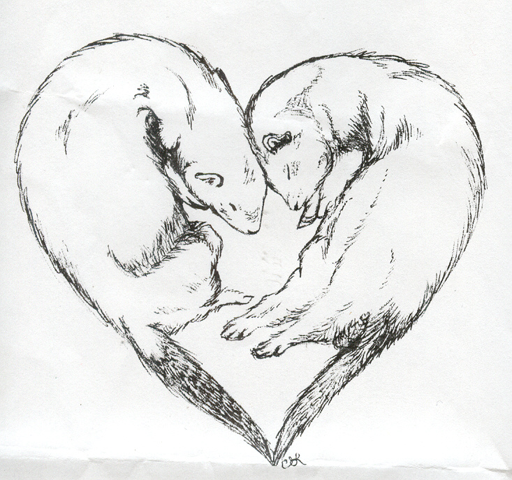 733x687 Ferret Love Sketch By Celestialimages