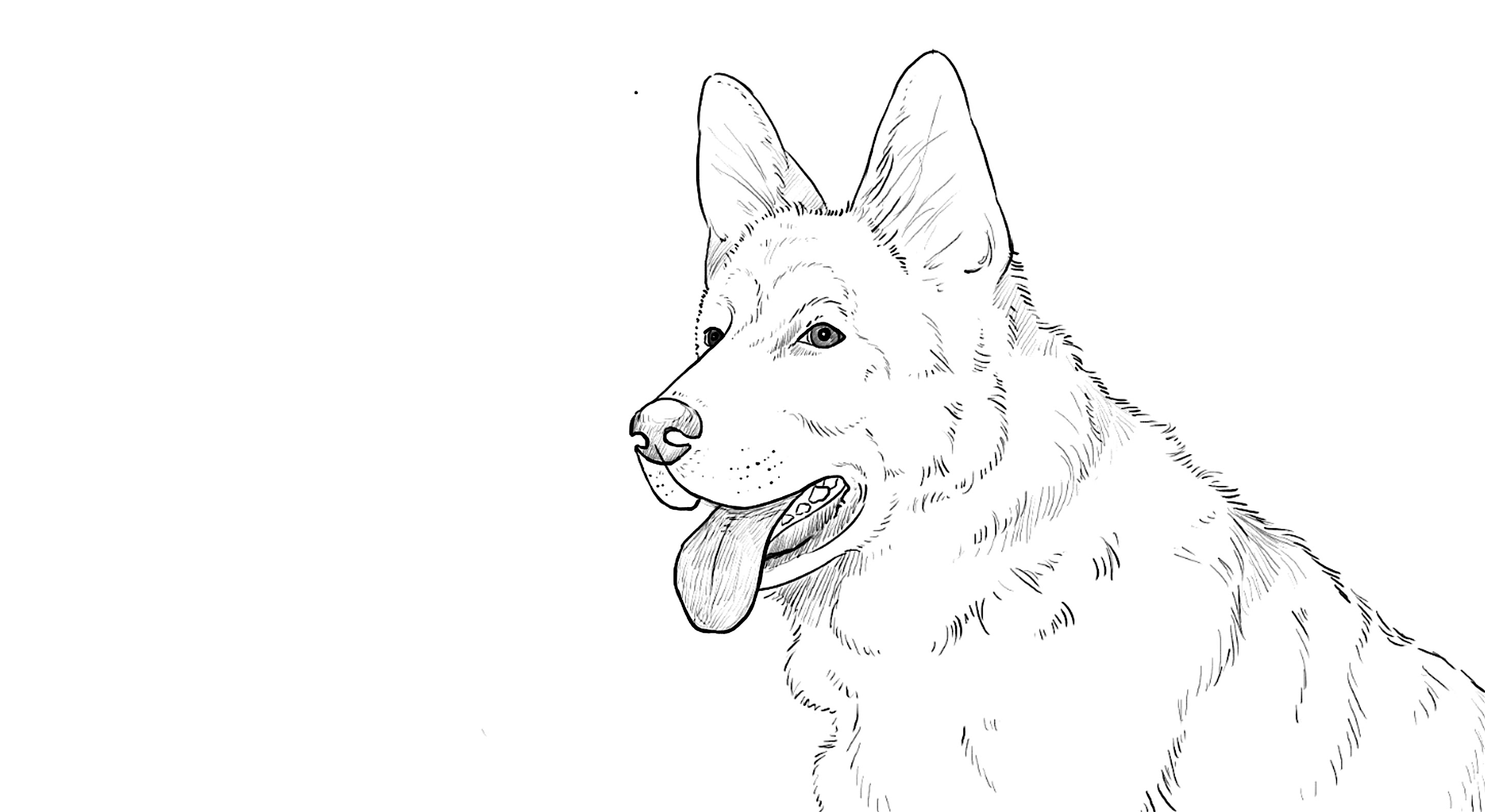 2892x1582 German Shepard Drawing Colouring To Pretty Page Draw Shepherd
