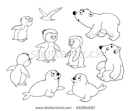 450x380 Arctic Animals Coloring Pages For Preschoolers Joandco.co