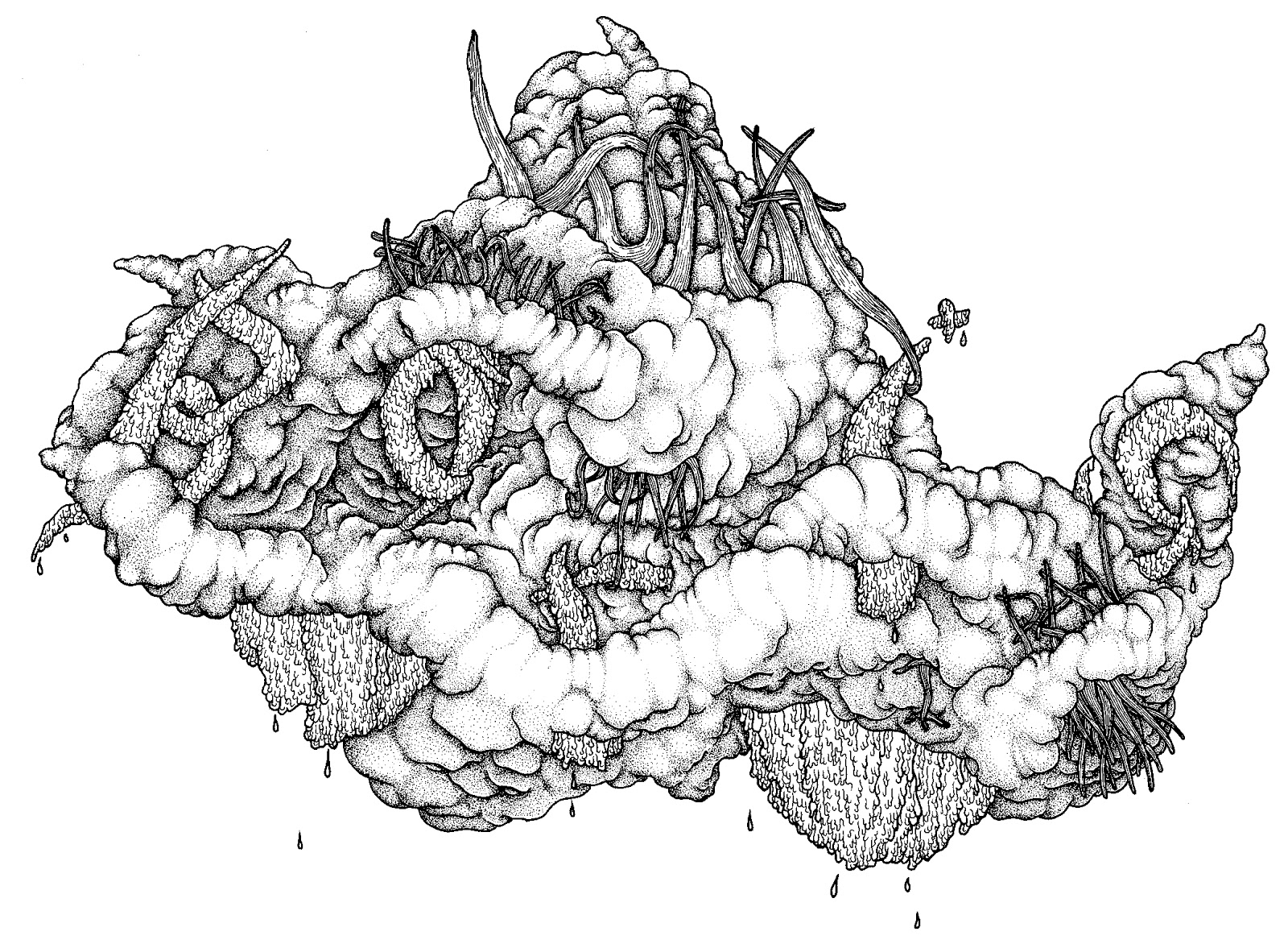 1600x1177 Aaron Turner Art And Music Hydra Health