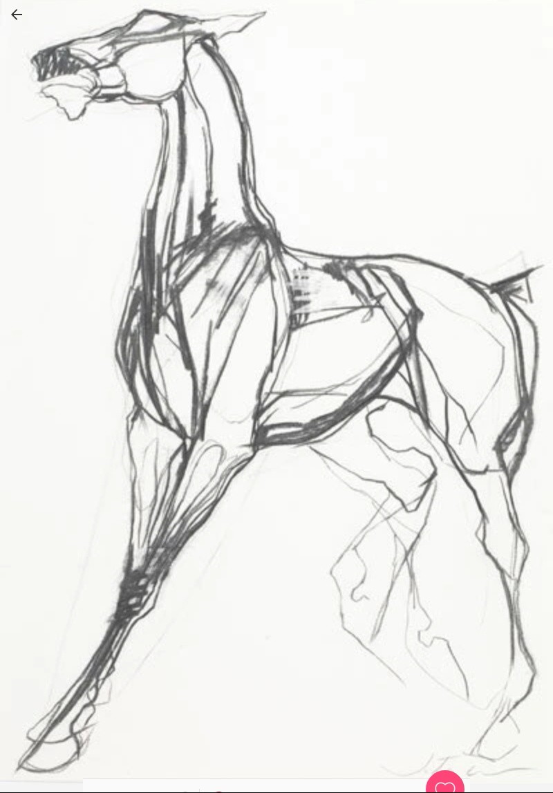 800x1147 Pin By Angie Santesteban On Dibujos En Blanco Y Negro.