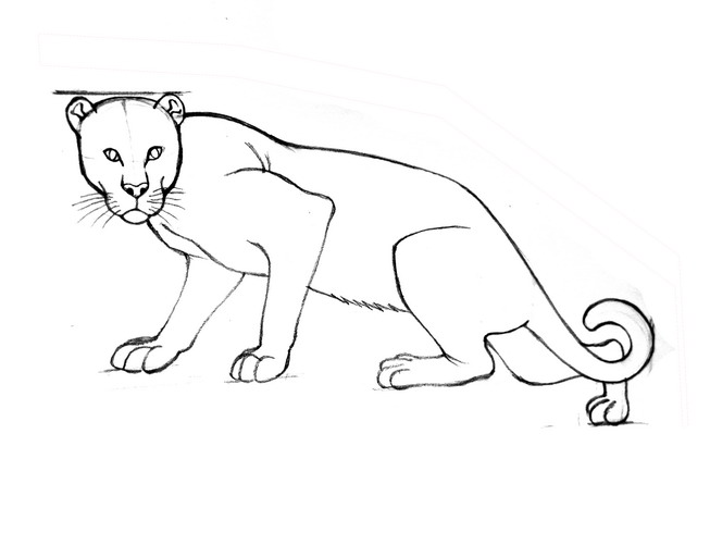 653x490 How To Draw Leopards 11 Steps (With Pictures)