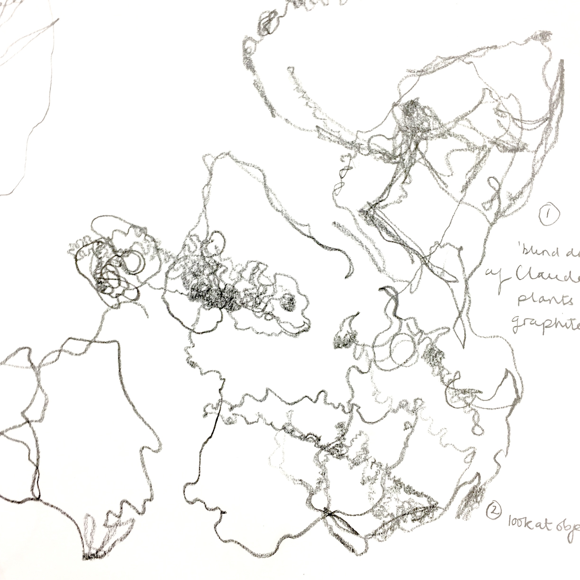 2448x2448 The Creative Line, Mixed Media Continuous Line Drawing Inspired By