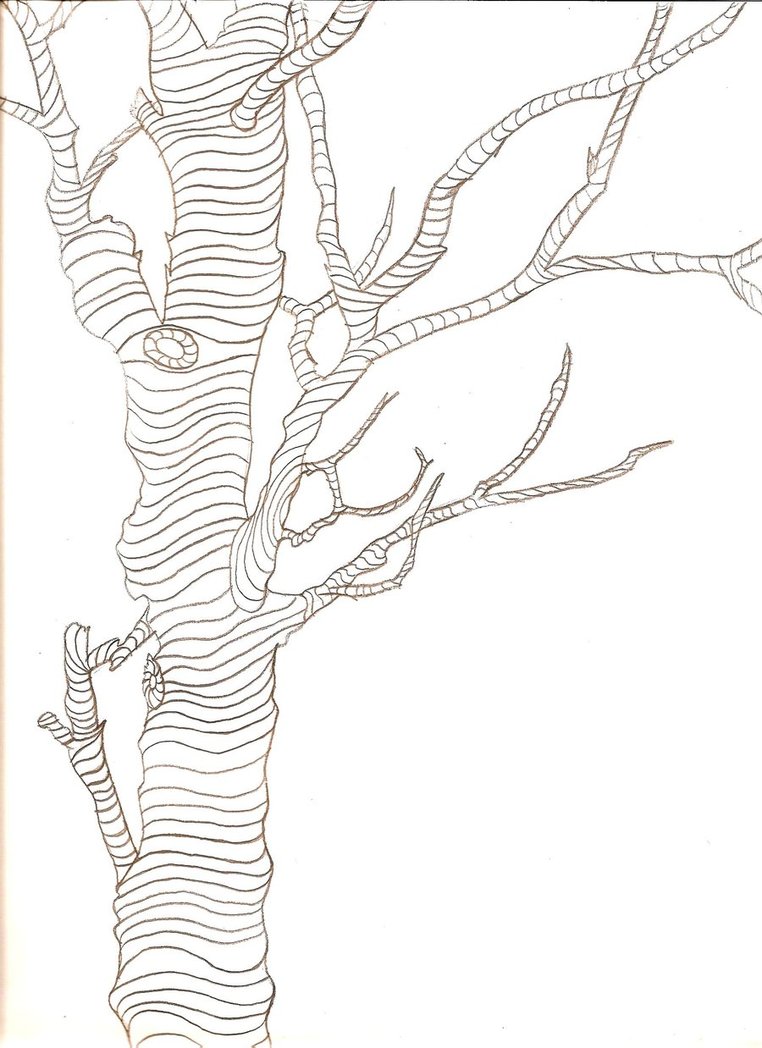 762x1048 Image Result For Cross Contour Drawing Of Trees About Contour