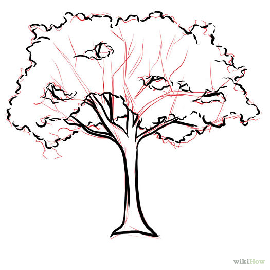 525x525 Tree Drawing