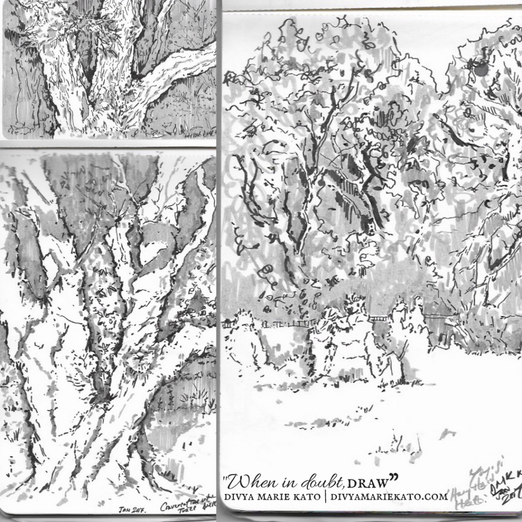 1024x1024 Divya Marie Kato