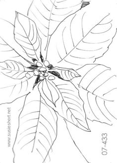 236x329 Day Four How To Draw A Peony