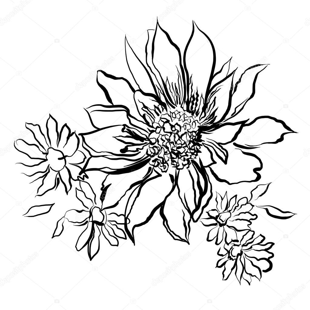 1024x1024 Flowers, Painted Black Outline On The White Background Stock