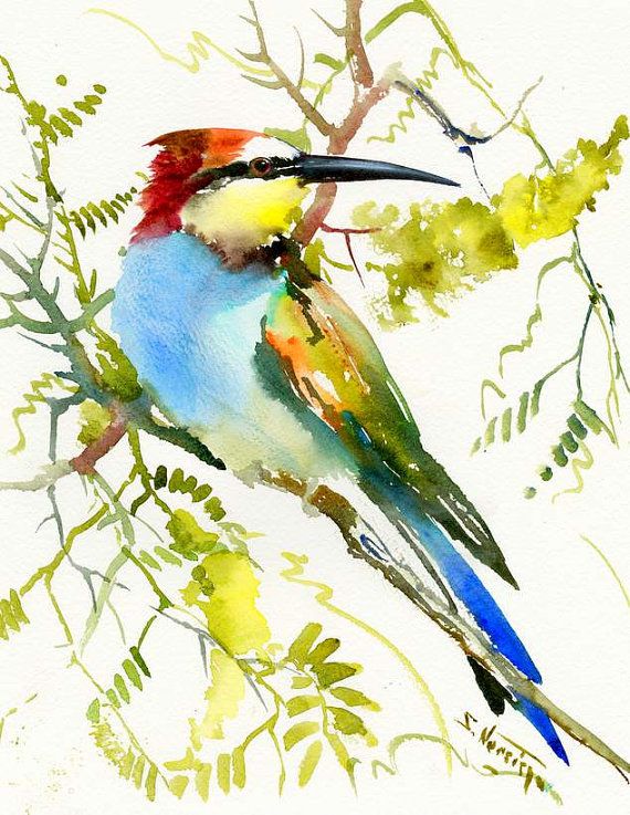 570x737 143 Best Watercolor Images On Drawings, Board