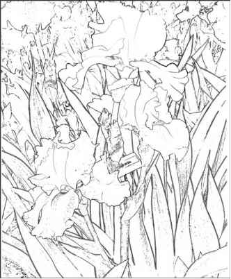 332x402 Project Finding A Natural Setting For Flowers